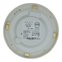 S4 - 715 - FIRE AGENT